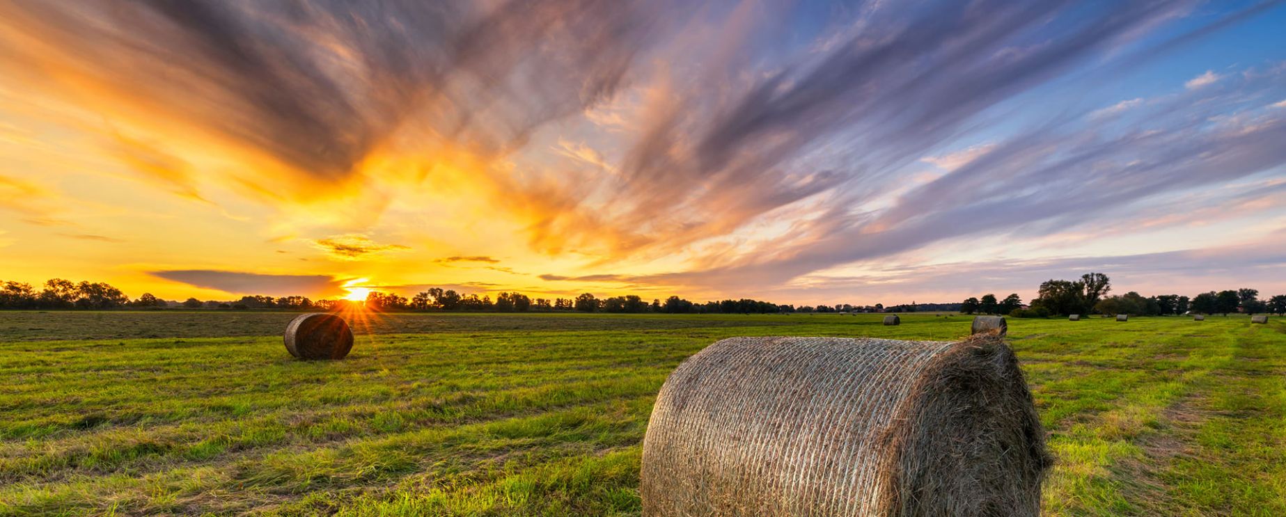 AdobeStock_480119360 1.jpg